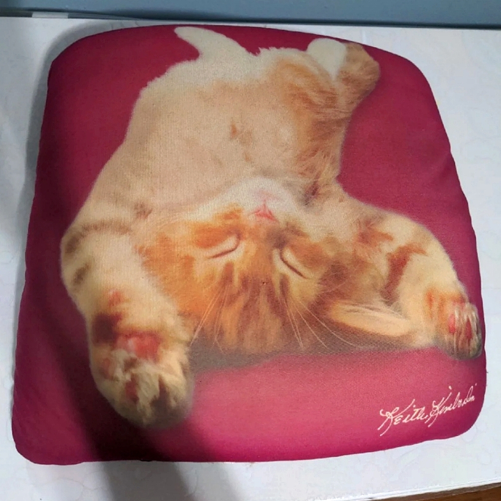 Kitten cushion